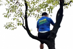 湘超联赛推出“挂票”，球迷可坐在树上看球但禁止“自挂东南枝”