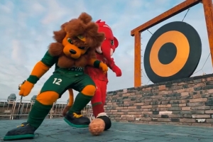 狮象对垒！足协杯决赛前奏：国安河南吉祥物友好会晤