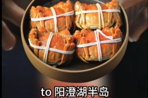 阳澄湖一度假区玩梗：乐邦詹士回到主场律师称涉嫌侵犯肖像权