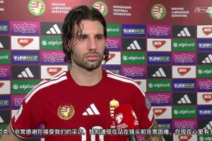 10年前只能赢圣马力诺到重返世界杯！挪威足球经历了什么？