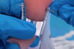 太强了！谁能过掉2019年的范戴克？